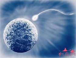 供卵最靠谱的地方，产后子宫恢复好的标志产妇该知道的子宫复原期，2指标+